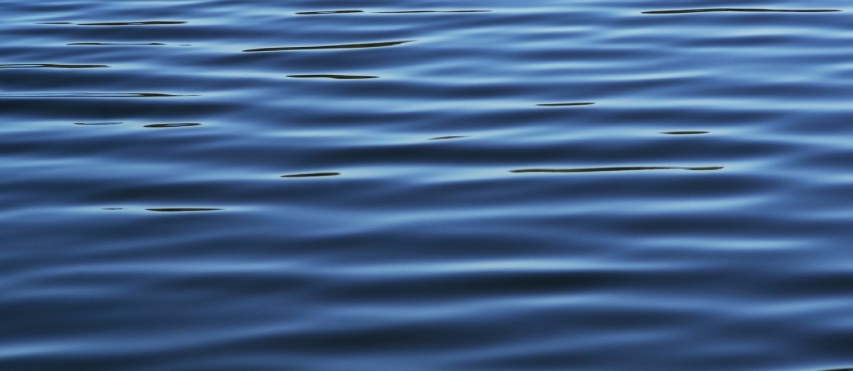 waves on a lake