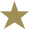 Logo star icon