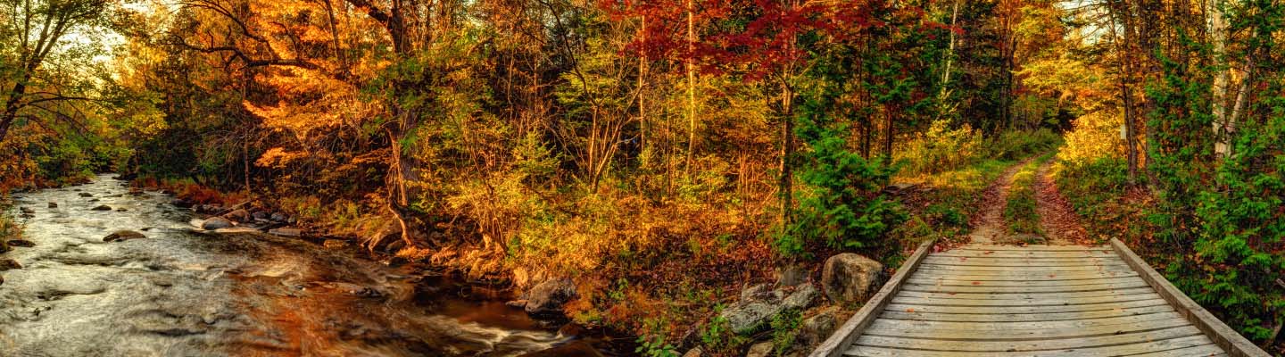 A dock and trail through the woods with fall colors